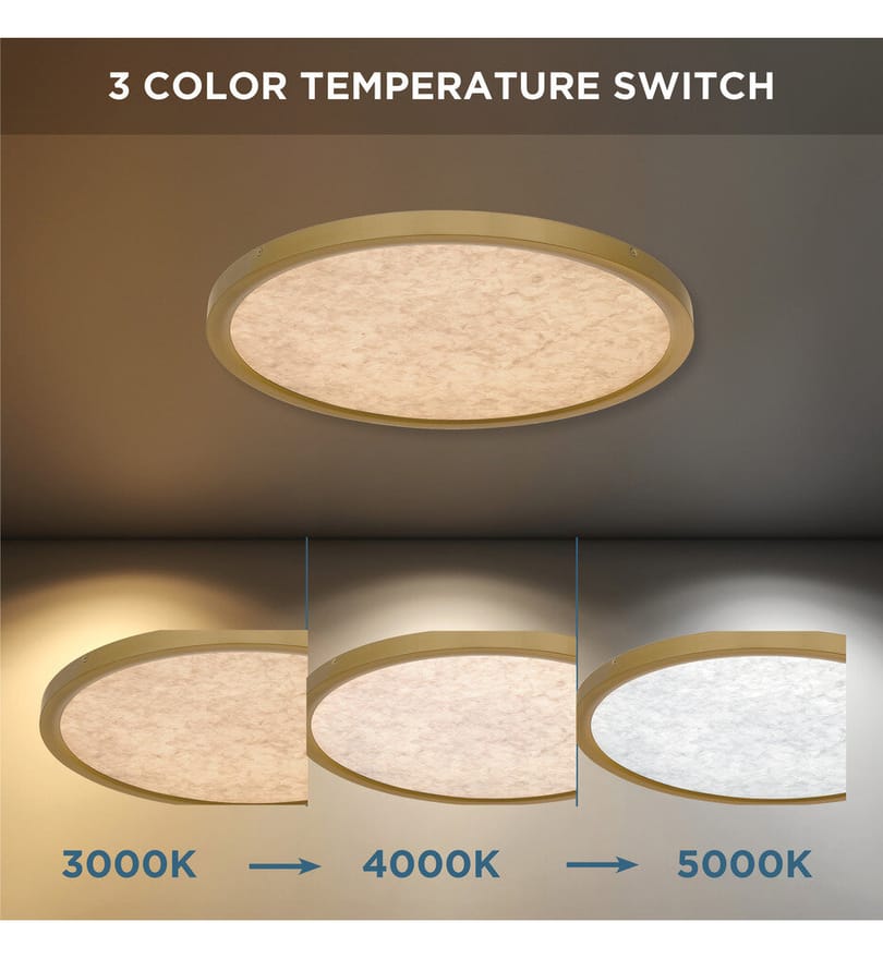 Quoizel - Outskirts 20" Flush Mount by Quoizel - Image 4