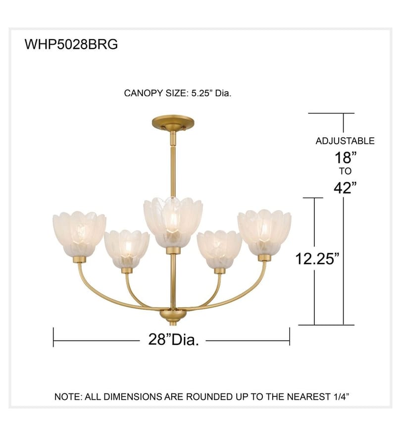 Quoizel - WHP5028BRG - Whitecap 28-inch Chandelier by Quoizel - Image 5