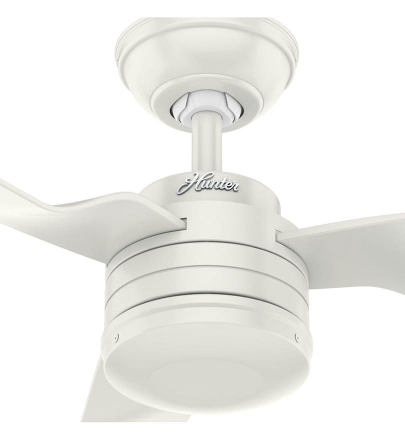 Hunter - Cabo Frio Ceiling Fan by Hunter - Image 4