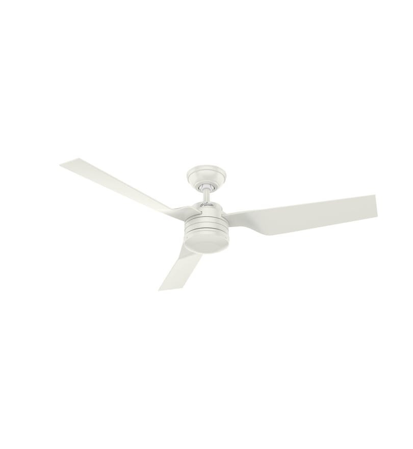 Hunter - Cabo Frio Ceiling Fan by Hunter