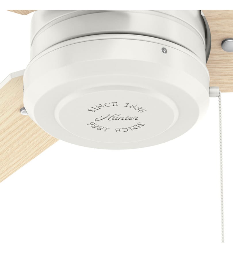 Hunter - Cassius Ceiling Fan by Hunter - Image 3