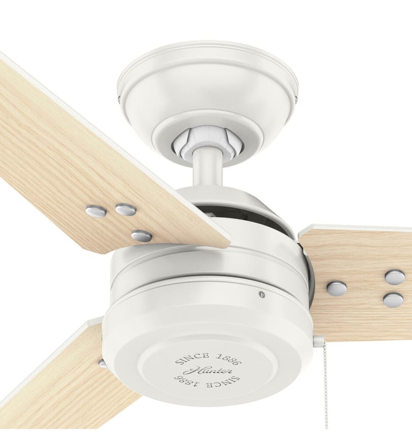 Hunter - Cassius Ceiling Fan by Hunter - Image 7