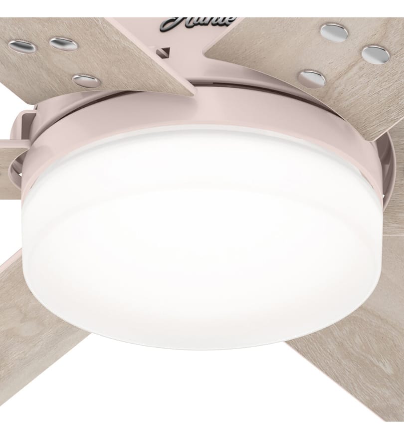 Hunter - Pacer Ceiling Fan by Hunter - Image 5