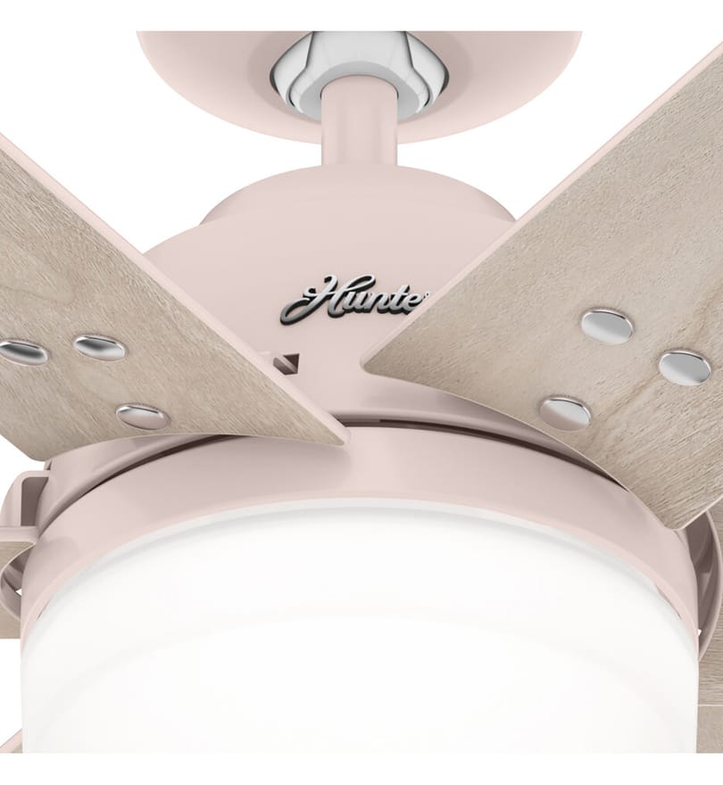 Hunter - Pacer Ceiling Fan by Hunter - Image 3