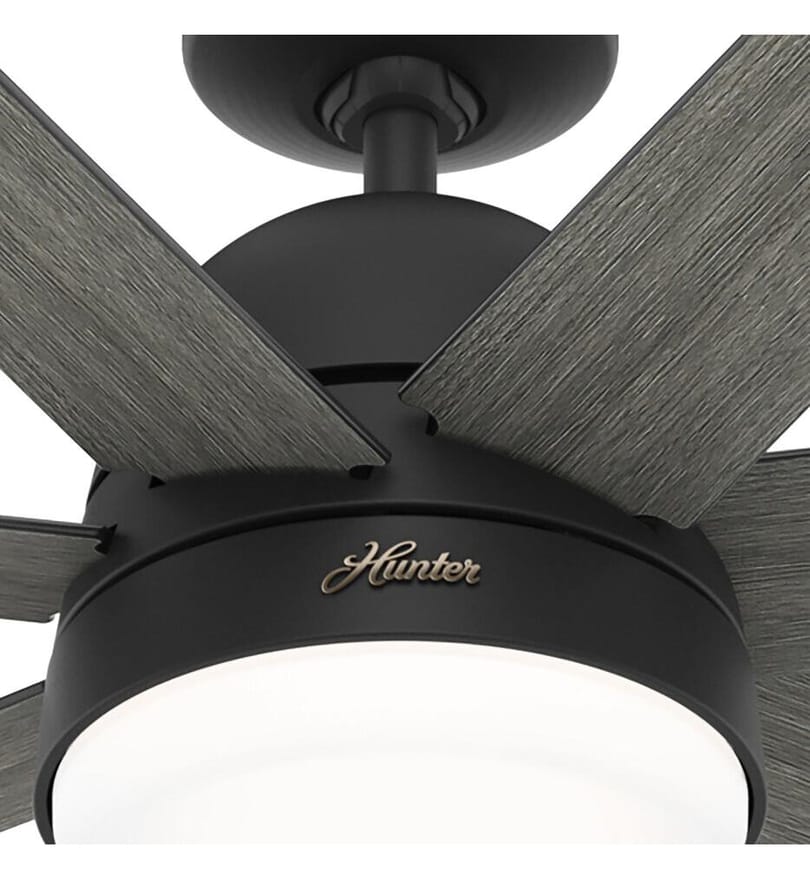 Hunter - Phenomenon Ceiling Fan by Hunter - Image 6