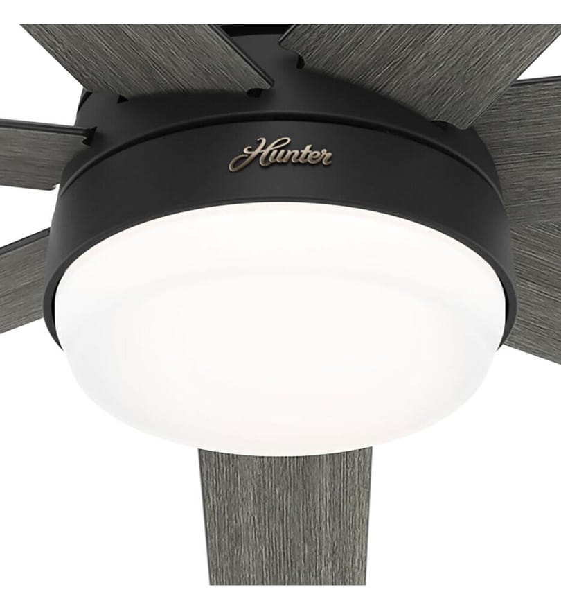 Hunter - Phenomenon Ceiling Fan by Hunter - Image 2