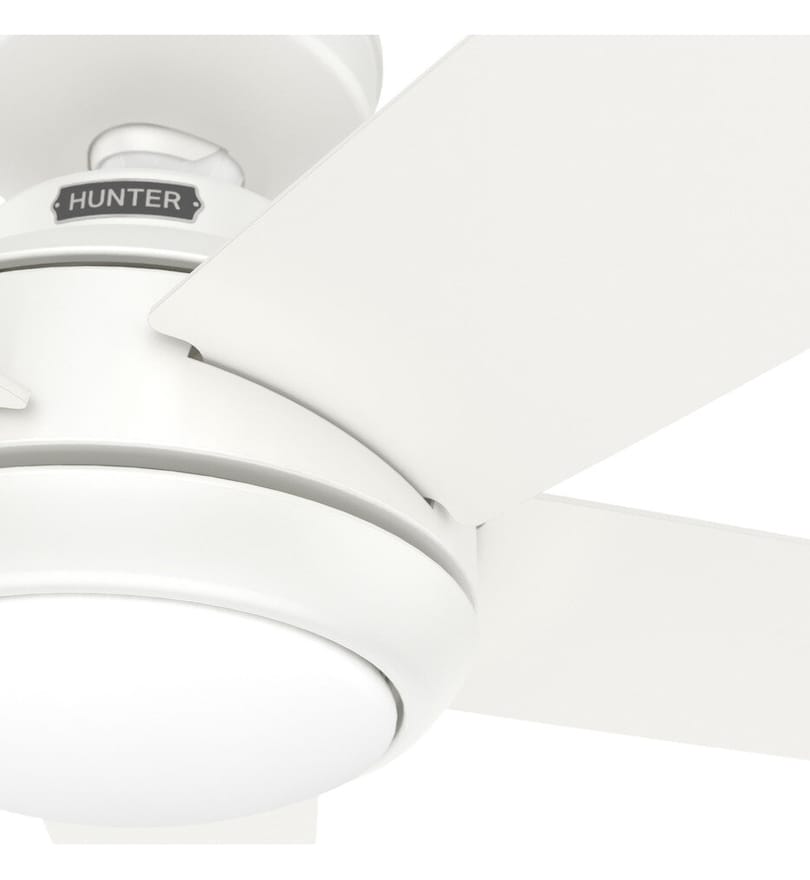 Hunter - Zayden Ceiling Fan by Hunter - Image 2