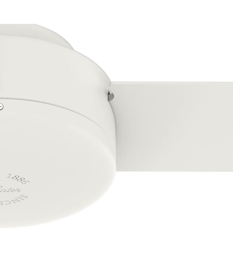 Hunter - Presto Ceiling Fan by Hunter - Image 3