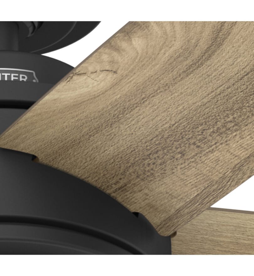 Hunter - Margo 52" Ceiling Fan by Hunter - Image 12