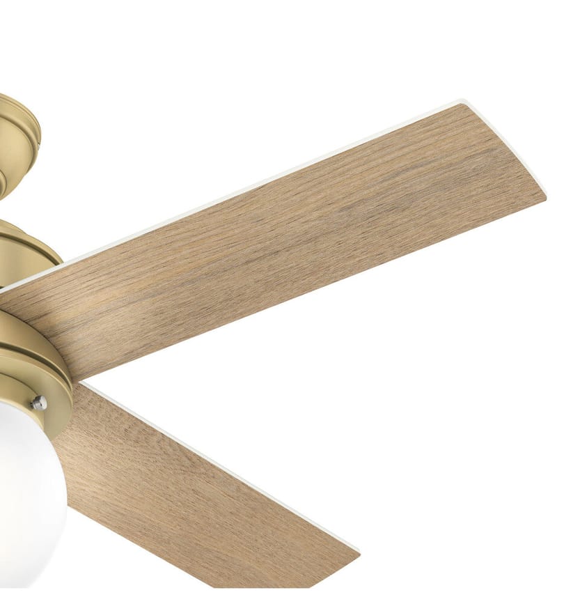 Hunter - Hepburn Ceiling Fan by Hunter - Image 3