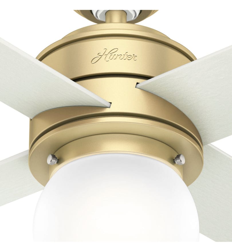 Hunter - Hepburn Ceiling Fan by Hunter - Image 2