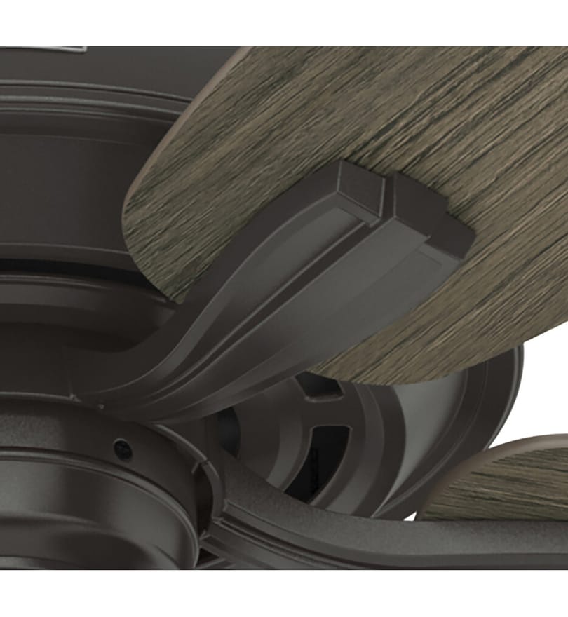 Hunter - Dondra Ceiling Fan by Hunter - Image 2