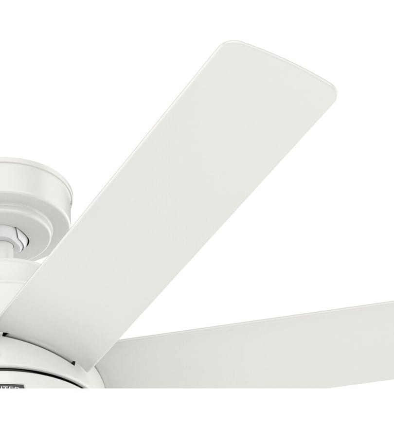 Hunter - Brazos 52" Ceiling Fan by Hunter - Image 5