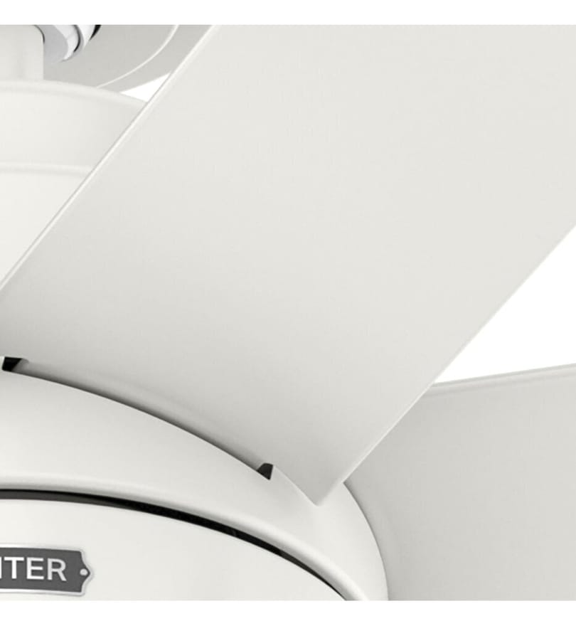 Hunter - Brazos 52" Ceiling Fan by Hunter - Image 4
