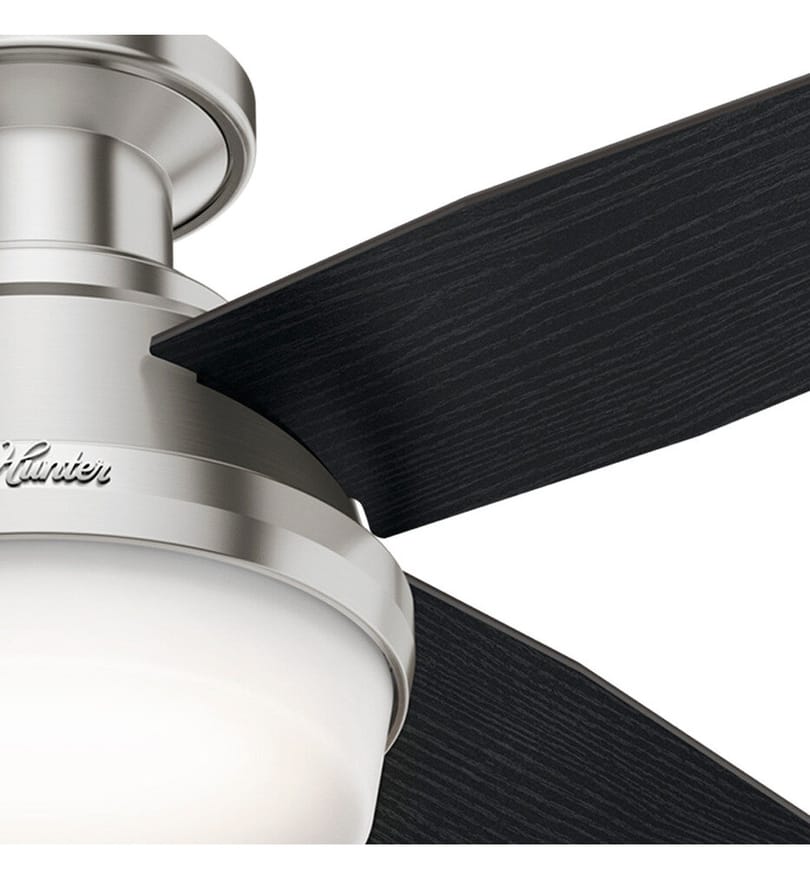 Hunter - Dempsey Flush Mount Fan by Hunter - Image 4