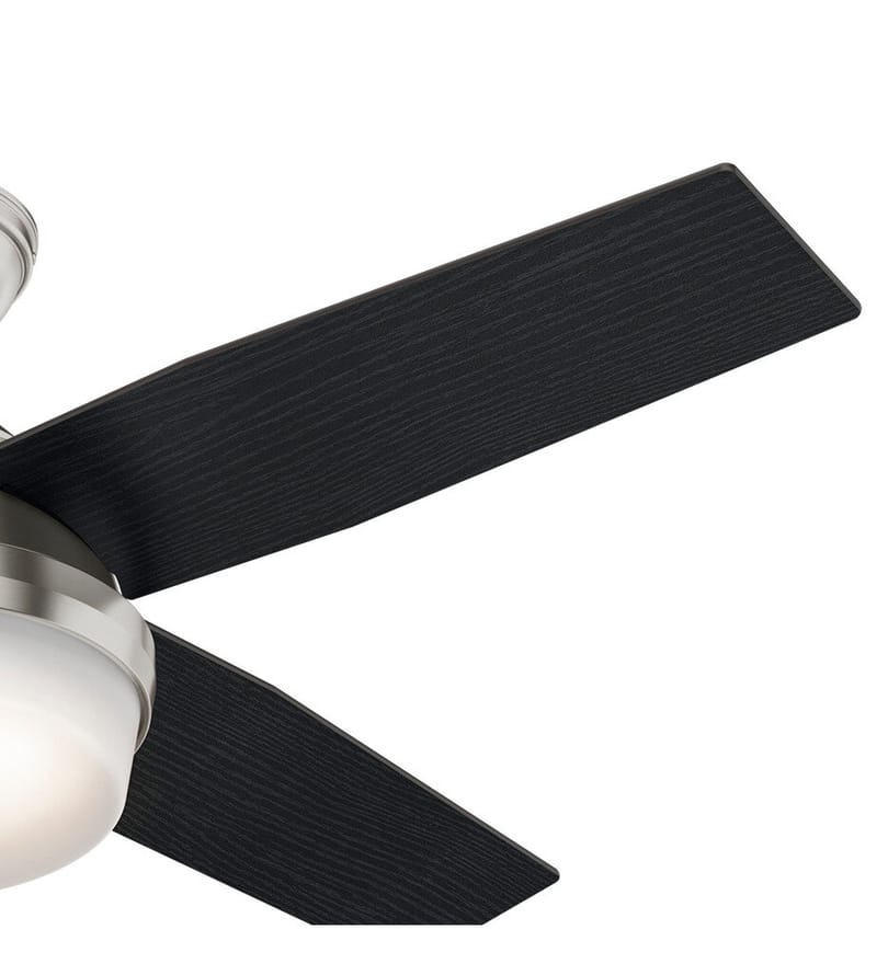 Hunter - Dempsey Ceiling Fan by Hunter - Image 8