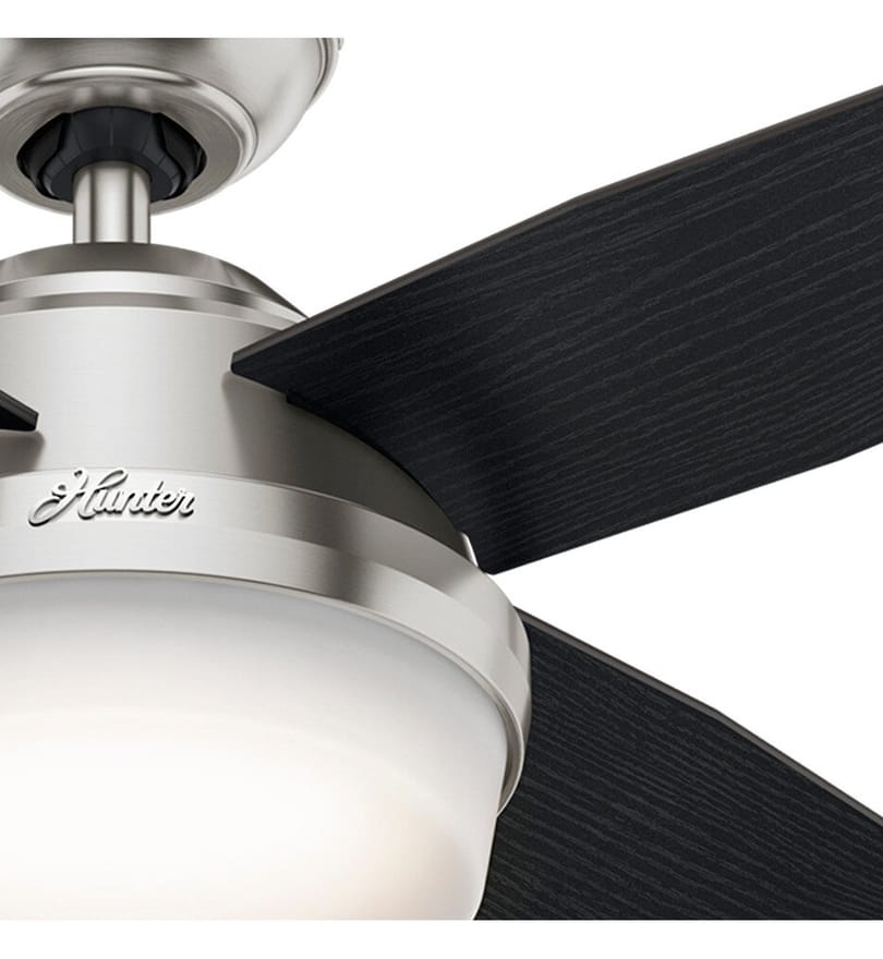 Hunter - Dempsey Ceiling Fan by Hunter - Image 10