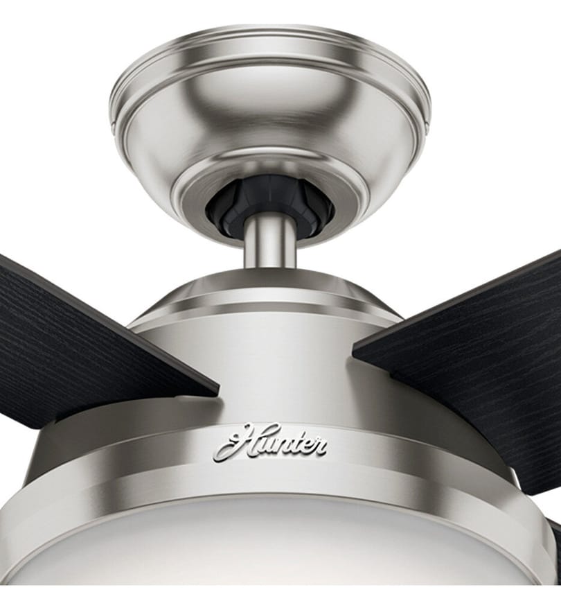 Hunter - Dempsey Ceiling Fan by Hunter - Image 4