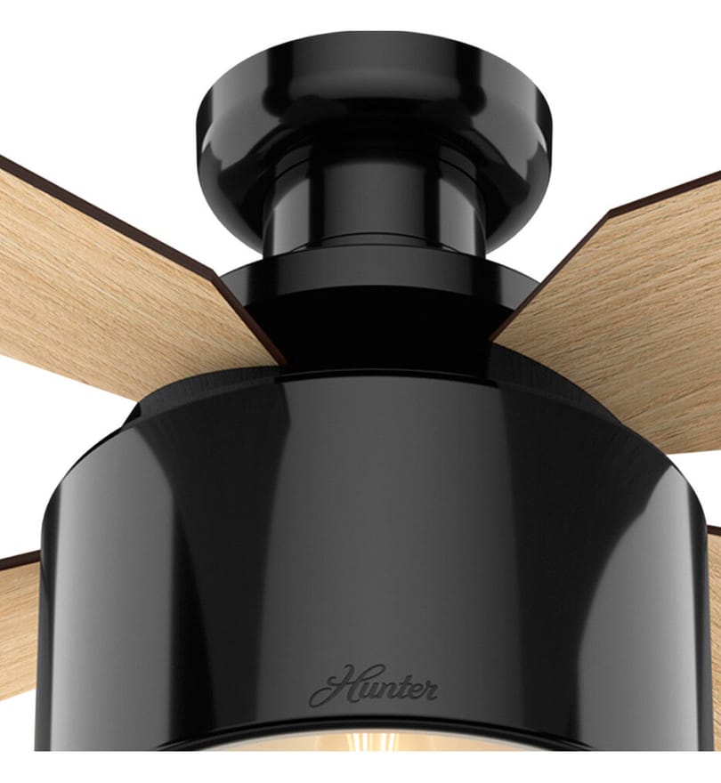 Hunter - Cranbrook Flush Mount Fan by Hunter - Image 7