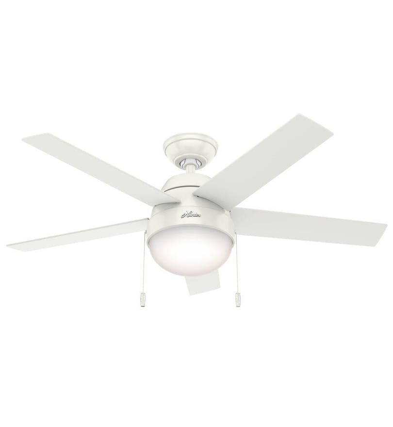Hunter - Anslee Ceiling Fan by Hunter