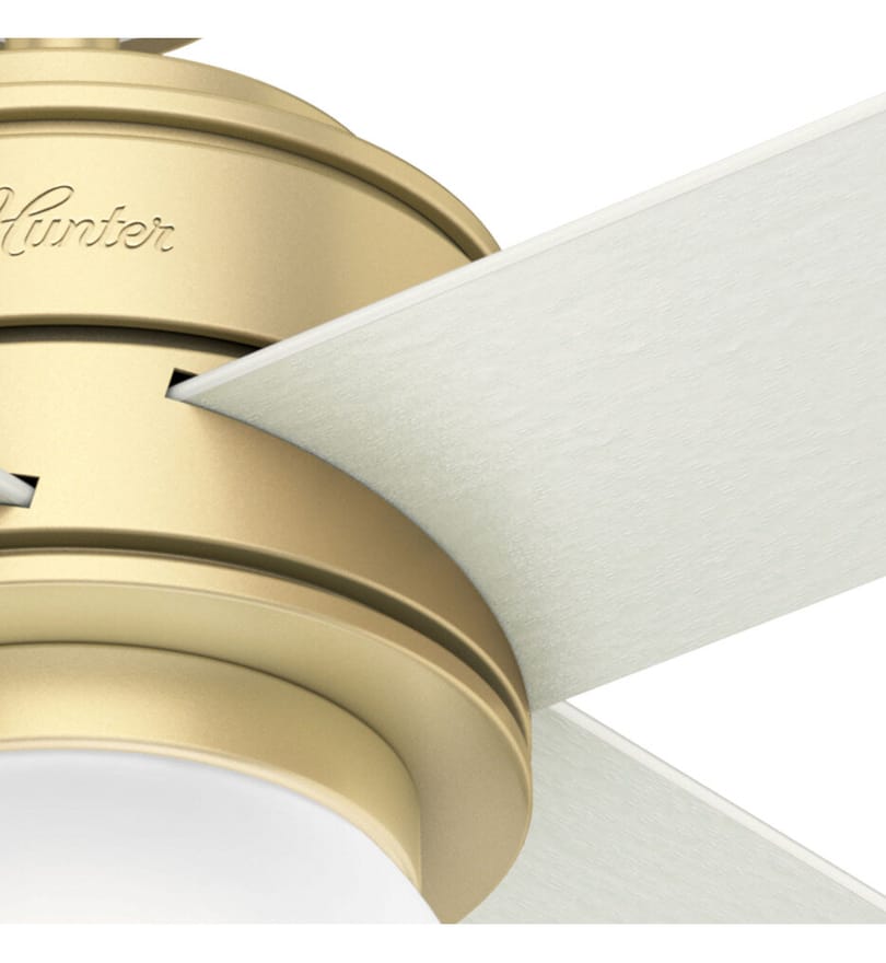 Hunter - Hepburn Ceiling Fan by Hunter - Image 3