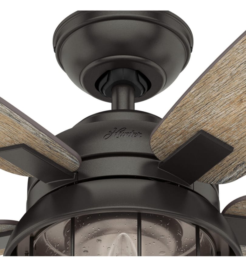 Hunter - Coral Bay Ceiling Fan by Hunter - Image 5