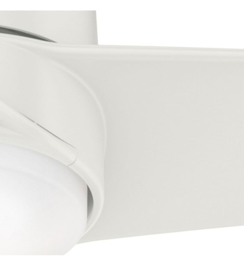 Hunter - Havoc Ceiling Fan by Hunter - Image 8