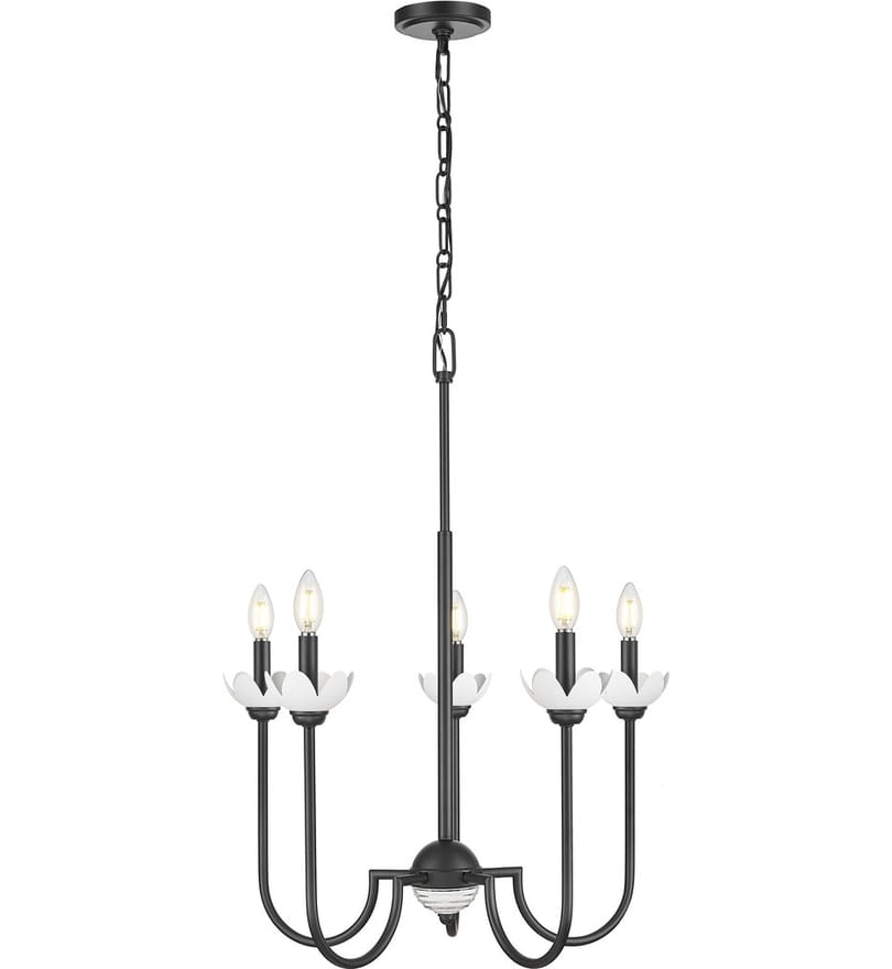 Z-Lite - 352-5MB - Allistair 24" Chandelier by Z-Lite