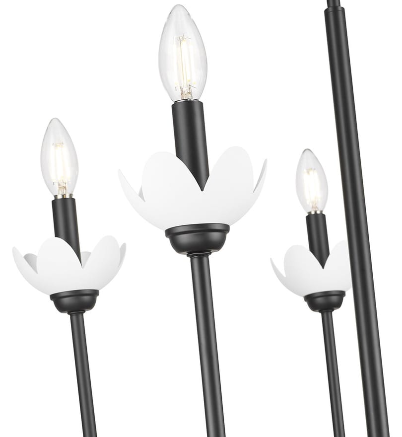 Z-Lite - 352-5MB - Allistair 24" Chandelier by Z-Lite - Image 3
