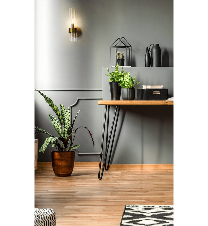 Z-Lite - Datus 13" Wall Sconce by Z-Lite - Image 2
